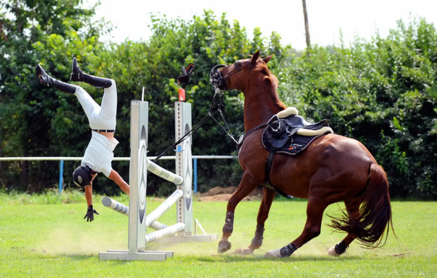 Hold your horses idiom