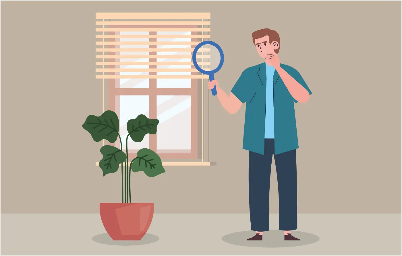 Look for phrasal verb