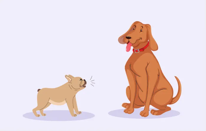 All bark and no bite idiom