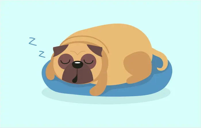 Let sleeping dogs lie idiom