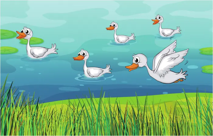 Wild goose chase idiom